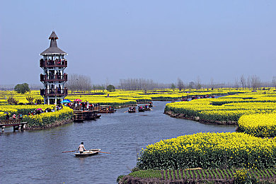 黄色aPP软件：极速像素，复古狂飙，纯粹驾驶乐趣之旅-2