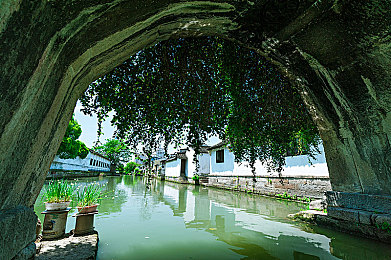 水母娘娘40公分消失术什么意思：深海幻境中的空间微操，方寸位移创造无限可能