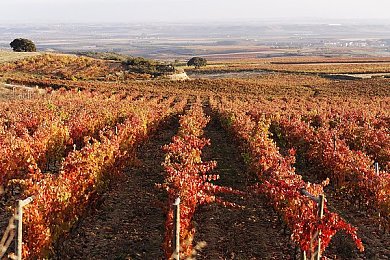 男生把困闲放到女生困困：双人驾驶默契大考验，合作征服崎岖旅途