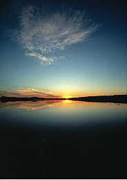 色多多：驾驭色彩策略，定制你的竞速美学之旅