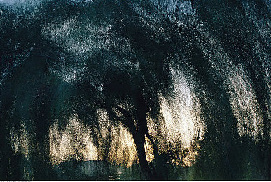 日批发软件下载安装：《极限竞速：地平线5》年度更新，全新赛季车辆与赛事今日上线-3