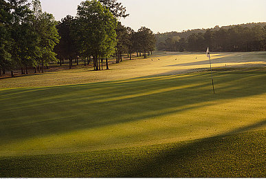 国产AV性：东方叙事新浪潮，文字冒险中的文化共鸣之旅