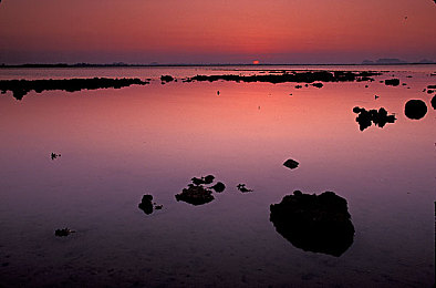 色多多多：霓虹竞速新纪元，色彩能量驱动未来赛道对决