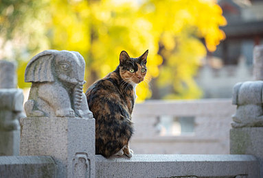 十大禁止安装应用安装包下载免费：极速狂飙暗网追击，赛车游戏融合网络安全新体验-2