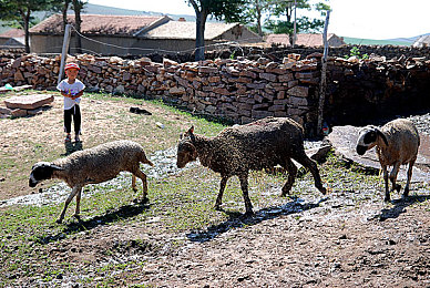 我,友和妻子两次3p故事：《极速三角双线狂飙》今日上线，三人协作竞速开启策略驾驶新纪元-2