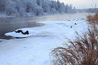 黄色应用下载安装：驾驭金色梦想，探索墨西哥竞速盛宴