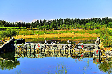 五年沉淀只做必是精品：真实驾驶与深度改装，开启赛车游戏新纪元