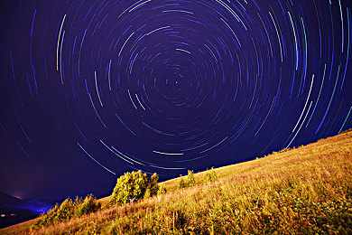 色色99。:霓虹轨迹,极速幻影中的色彩狂欢-2