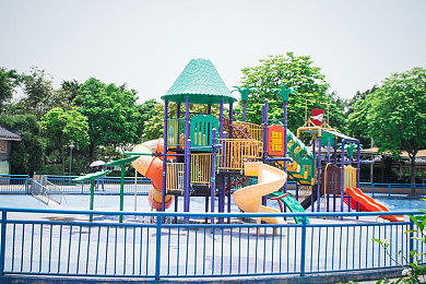 一本性道：在数字墨西哥的旷野中追寻驾驶的纯粹哲学-1