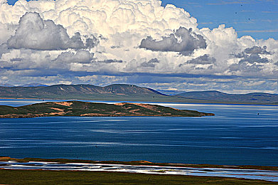 西装男搞基：霓虹夜幕下，风度与羁绊的竞速诗篇-1