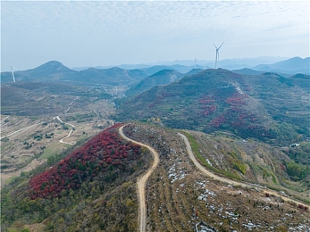 大炕乱伦：家族暗流，权力与亲情的策略抉择-2