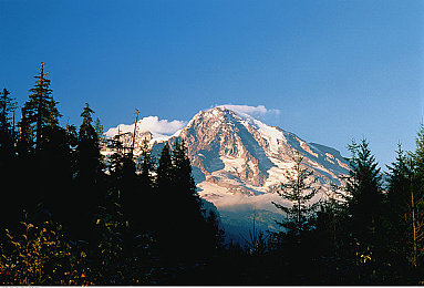 下载黄色软件3.0：霓虹都市隐藏任务链揭秘，黄金涂装获取攻略全解析-2