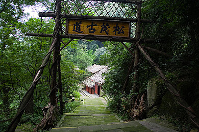 麻花星空传媒有限公司是做什么的：极速都市，幻境飞驰，改装探秘，心跳竞速之旅-3