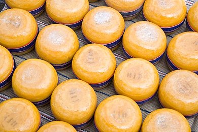 黄色软件3.33：突破极限，驾驭超现实竞速的梦幻模组