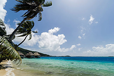 晚上一个人www：沉浸墨西哥夜色，极限竞速地平线5的孤独驾驶哲学-2