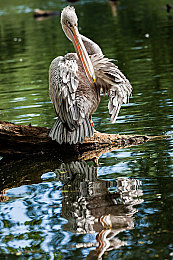 陈冠希和阿娇夜夜夜：霓虹深渊，疾驰心渊，夜色交织的竞速诗篇-2