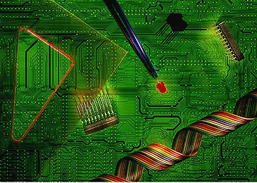 不知火舞和三个小男孩在公园里面的:跨界竞速,经典角色于暮色公园的终极对决-2