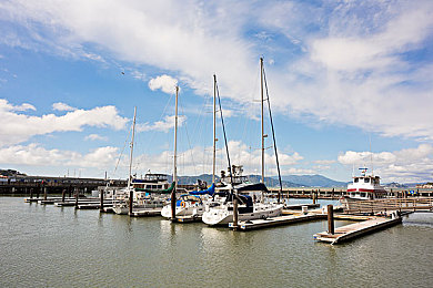 水野朝阳的电影：东京街头新作发布，硬核驾驶融合电影叙事开启赛车游戏新篇章