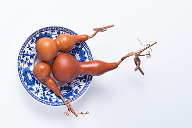 黄软件导航：探索地平线5隐藏涂装，解锁墨西哥赛道上的视觉宝藏