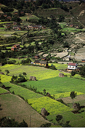 女生脱下内裤：《极速脱出》全新战术系统引热议，赛车减重决胜瞬间引爆玩家社区-2