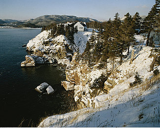 国产乱伦免费：极速血脉深度评测，国产赛车新作如何打造平衡竞技体验-1