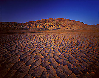 色情入口：霓虹深渊，极速幻影中的道德抉择与未来狂飙