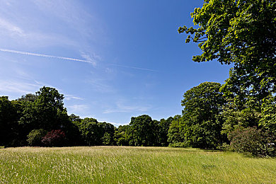 男人日女人的应用：每日赛道对抗刷新，性别竞速引爆改装策略革命