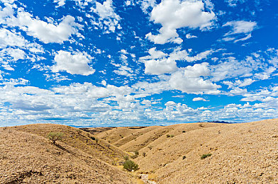 二人世界拨萝卜：双人协作田园驾驶，默契考验与浪漫共存的独特体验-1