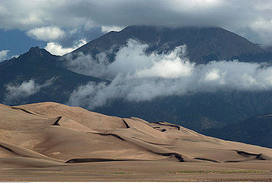 2023年已更新的黄色软件：赛道进化新纪元，真实物理引擎颠覆竞速体验