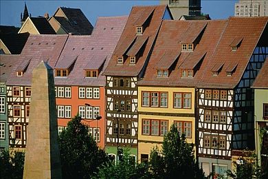 黄金软件3.0.3免费vivo版破解大全:极限竞速地平线深度攻略,掌握核心调校与驾驶技术解锁终极自由-2