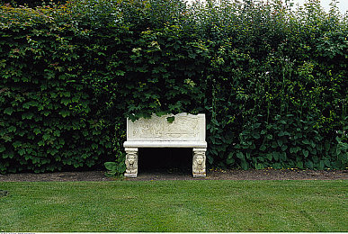 男的女的差差差APP：极速纪元，风格迥异的赛道哲学与策略共舞-1