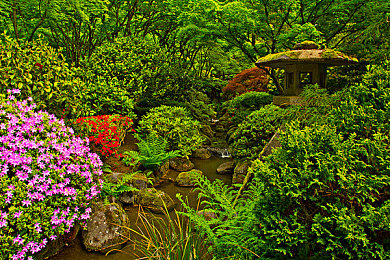 男同被多人无套双龙：《龙魂竞技场》今日上线，双龙无装备竞技引爆策略对战热潮-2