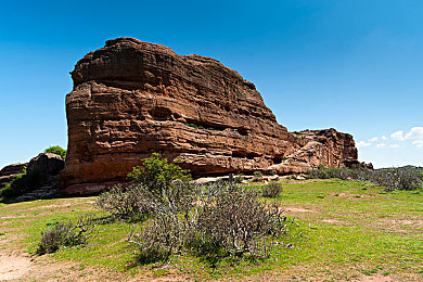 美女裸直软件：霓虹幻影，赛道基因的无限狂飙与定制艺术-2
