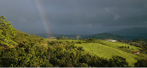 机机对机机软件：钢铁狂飙，程序主宰赛道，定制你的终极赛车机甲-2
