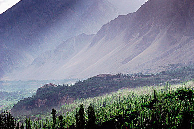 二人剧烈运动打扑克：极速狂飙，策略对决，卡牌与赛道的激情碰撞