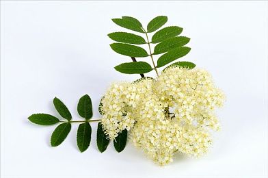 国精产品一区二区三区四区：极速征程，从街头改装到世界冠军的驾驶进化论