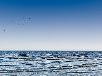 谢俞上课夹震动器：驾驭真实触感，体验从驾校到赛道的沉浸式体感驾驶革新