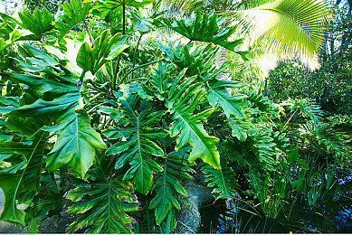 黄色软件下载3.0.3免费破解大全：极速狂飙3.0.3全新上线，动态天气与深度改装引爆竞速热潮-3