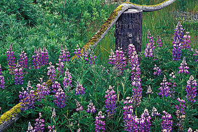 两个人看的WWW高清：双重视界竞速，协作征服变幻天地-3