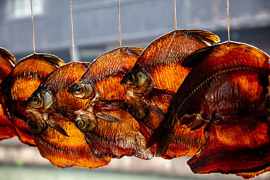 国产精品嘛豆：驾驭速度传奇，亲历中国汽车工业的崛起之路