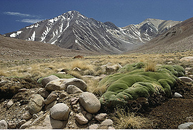 色综合色：驾驭光影，调校灵魂，墨西哥赛道上的个性诗篇-2