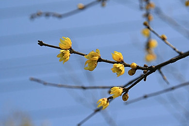 韩日一区二区：东亚竞速双雄,虚拟赛道上的风格对决与驾驶哲学