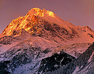 积极对鸡鸡的免费软件：2024年第二季度重磅评测，零成本竞速游戏如何提供顶级驾驶盛宴-1