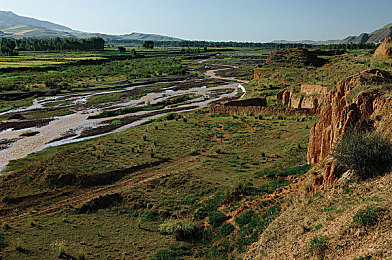 精品一曲二曲三曲四：驾驭艺术四重奏，从新手到赛道诗人的蜕变之旅