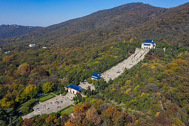 美女露乳头软件：智能AI助手与赛车调校系统革新，硬核驾驶模拟游戏引爆玩家热议-2