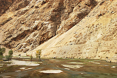 区欧美丰满大屁股：经典肌肉车再现旧金山，开放世界驾驶新体验今日上线