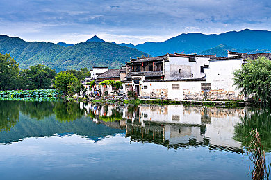 含蓄草隐藏路：《荒野寻踪》今日上线，探索隐藏路径的驾驶艺术等你揭秘
