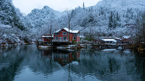 打扑克又叫又疼视频APP免费下载：卡牌竞速新游引爆热潮，策略与速度的终极对决今日上线-2