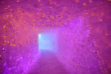 男捅女APP：双人极速协奏，指尖共驭虚拟引擎的赛道革命-2