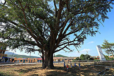 色大师免费在线观看：驾驭色彩能量，体验艺术与速度融合的竞速新境界-2